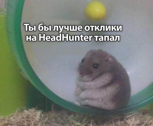 «Тапать хомяка»: почему весь мир играет в Hamster Kombat